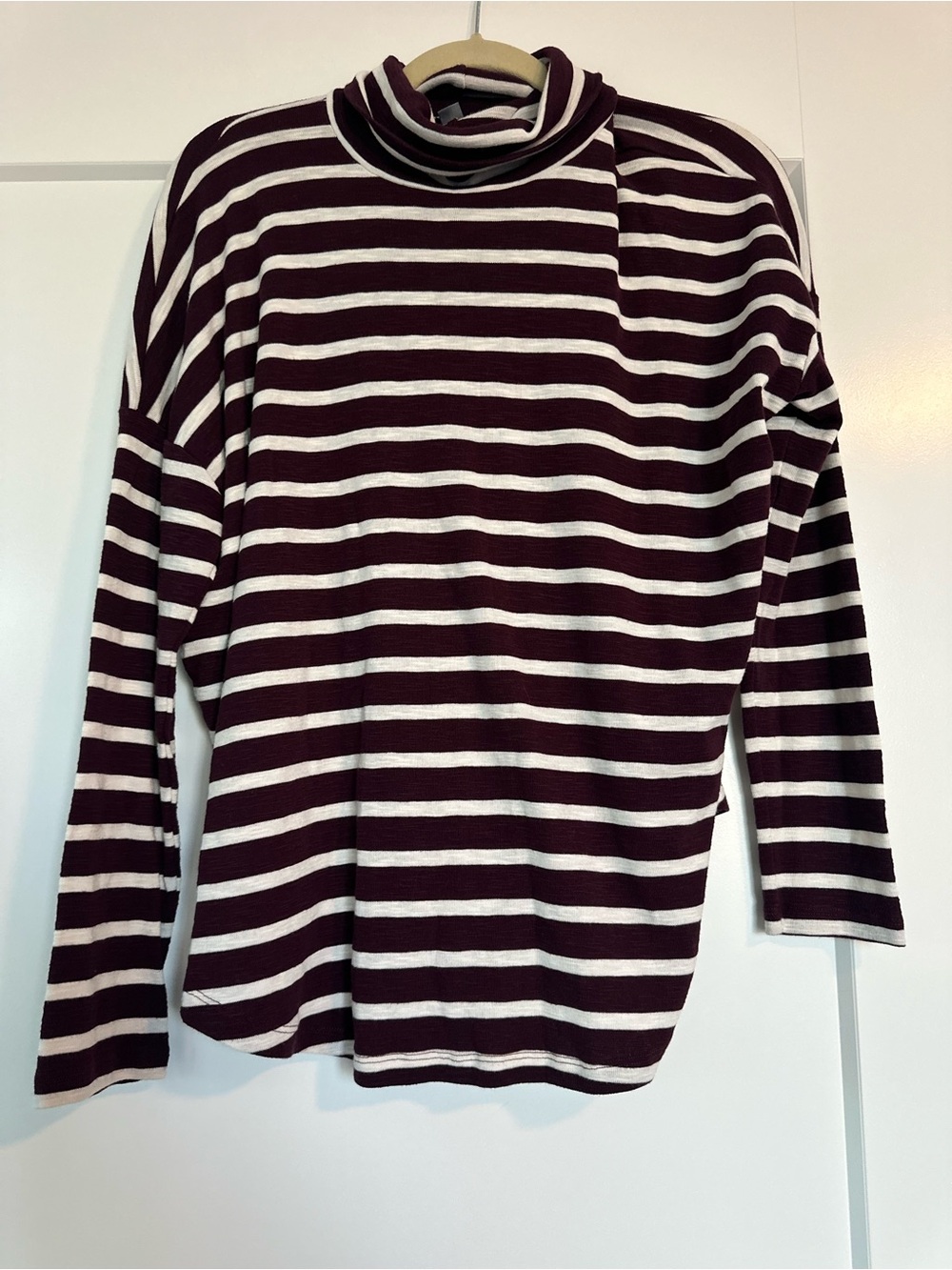 aerie Burgundy and White Striped Long-Sleeve Turtleneck Tee